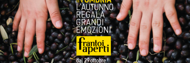 Dal 29 ottobre al 27 novembre in Umbria torna alla ribalta l’olio extravergine d’oliva con i 5 weekend di Frantoi Aperti