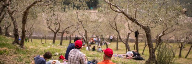 “Pic & Nic a Trevi, arte, musica e merende tra gli olivi” Prosegue la manifestazione con tante iniziative in programma Novità di lunedì 24 aprile l’omaggio a Michelangelo Antonioni, regista e cittadino trevano, e il corso di orticultura