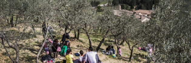 Il 21 e 22 aprile 2018 torna  “Pic & Nic a Trevi. Arte, musica e merende tra gli olivi”. Sarà il pic nic della fascia olivata Assisi – Spoleto recentemente insignita dal Mipaaf come Paesaggio Rurale Storico