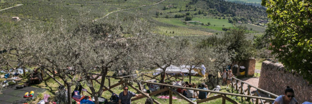 Grande successo di pubblico per l’undicesima edizione di  “Pic & Nic a Trevi, arte, musica e merende tra gli olivi”