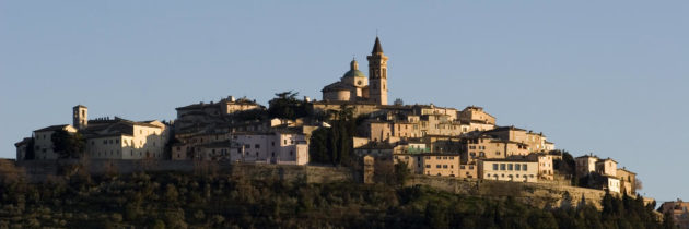 Trevi domenica il seminario sul “Olive4Climate life” per olio extravergine di oliva