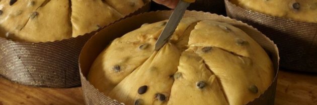 Il Natale è alle porte e a Trevi (Umbria), si può imparare l’arte del panettone artigianale