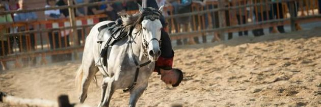 Nico Belloni per gli Spettacoli Equestri alla Fiera di Monteleone di Spoleto.