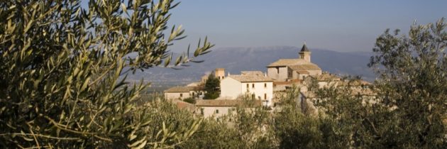 “Rievocazione della Festa della Frasca “ al via domani, sabato 23 novembre, a Giano dell’Umbria i festeggiamenti per la “benfinita” della raccolta delle olive