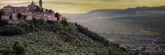 “Storie sulle dita – ALBERI”: a Trevi la mostra della Federazione Nazionale delle Istituzioni pro Ciechi ONLUS