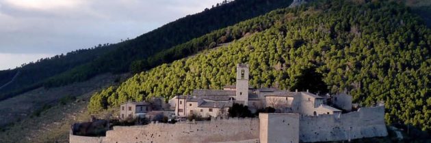 “Ulivi della Rinascita”: inizio dell’Itinerario Oleoturistico tra Borghi, Poesia e Ulivi lungo la Strada dell’Olio Dop Umbria