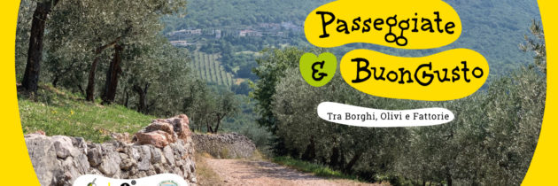 Secondo appuntamento con “Passeggiate & buon gusto. Tra borghi, ulivi e fattorie”