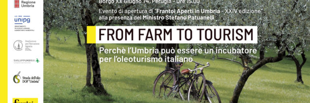 L’Umbria incubatore per l’Oleoturismo in Italia