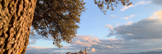 Autunno in Umbria – A piedi alla scoperta del foliage dei boschi, dell’olio appena franto, del tartufo e delle riserve naturali patrimonio UNESCO