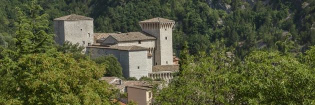 Strada dell’Olio e.v.o. Dop Umbria: nuovi ingressi nel circuito oleoturistico regionale