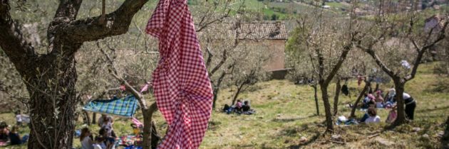 Torna a Maggio “Pic & Nic a Trevi. Arte, musica e merende tra gli ulivi”