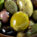 Premiazione a Perugia del concorso nazionale “Ercole Olivario – Sezione Olive da Tavola”