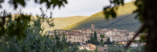 Montecchio (Tr) ospita la 5ª Edizione di ‘Passeggiate & Buon Gusto tra borghi, ulivi e fattorie’ alla scoperta degli oli e.v.o.