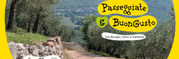 “Passeggiate & buon gusto. Tra borghi, ulivi e fattorie” un programma di esperienze tra natura, cultura ed enogastronomia in Umbria