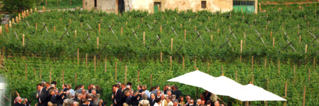 Anche quest’anno si concretizza la partnership tra Cantine Aperte e Frantoi Aperti